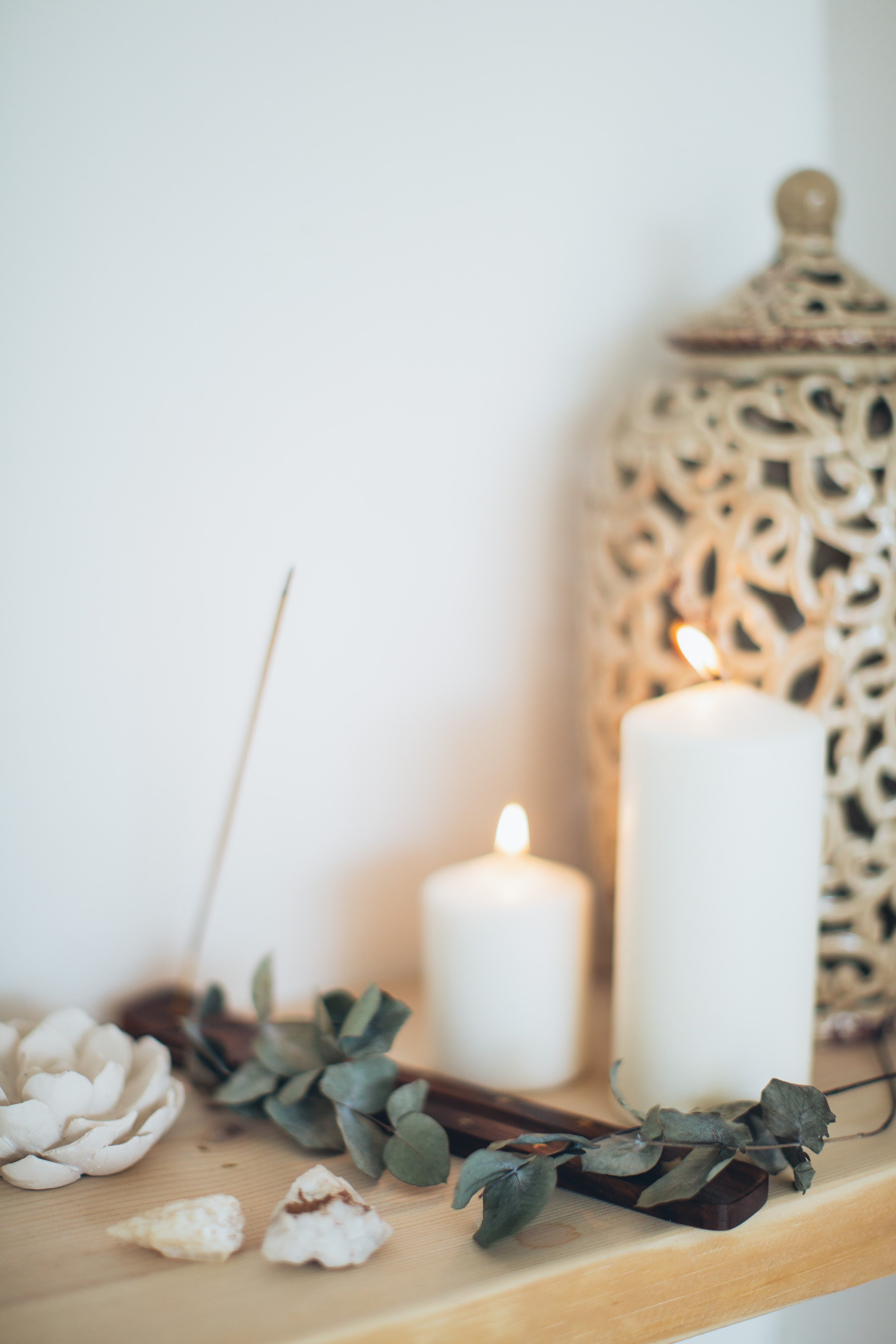 meditation and Microdosing Events