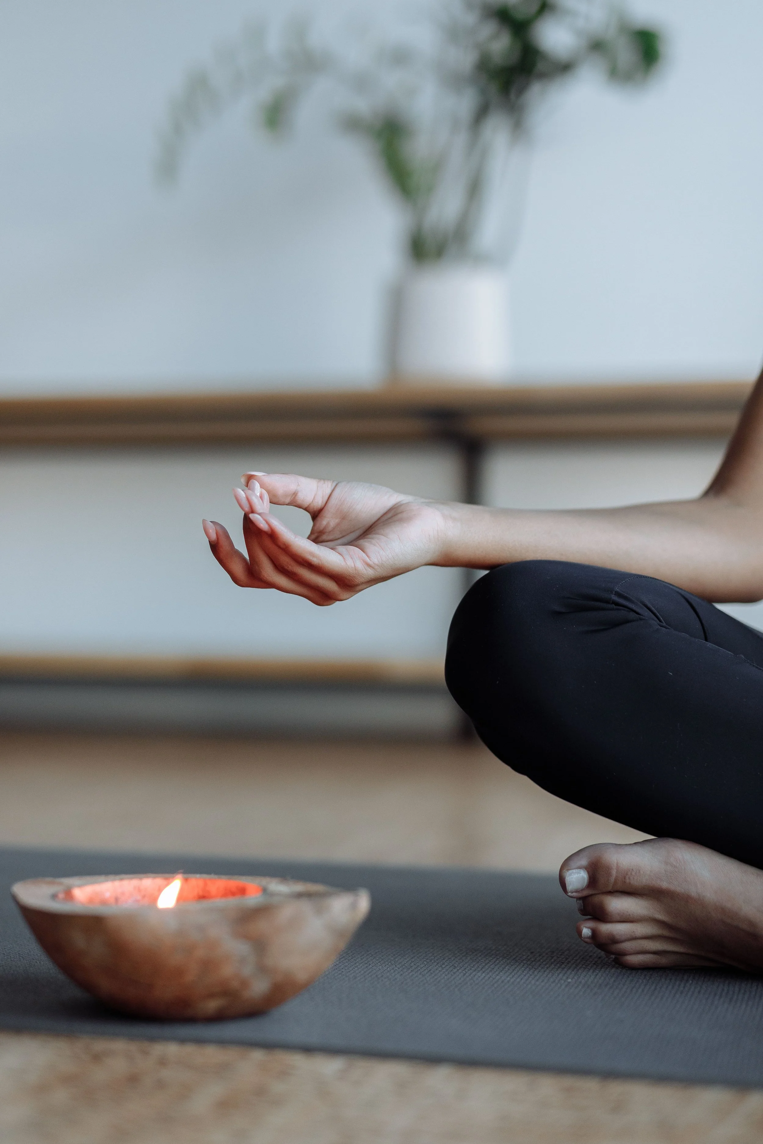 sangha community meditation