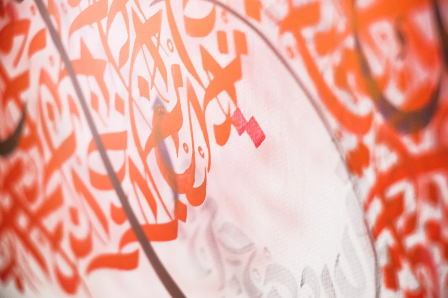 ما تبحث عنه