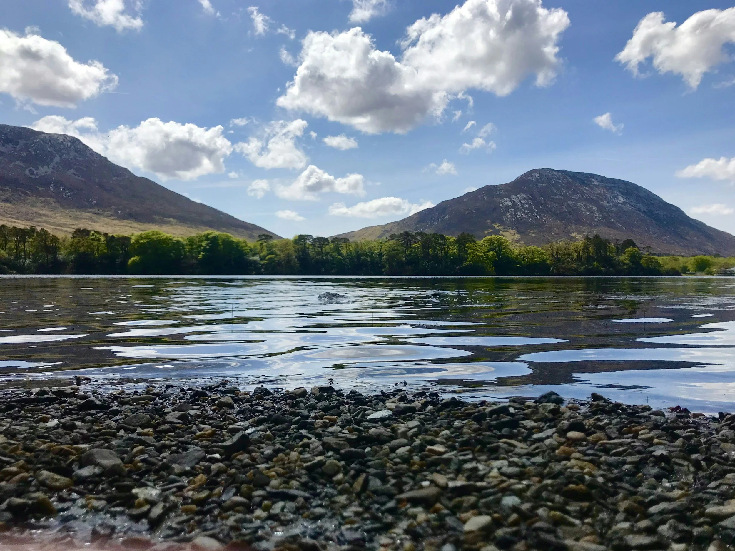 A scenic view of a river with small rocks along the shore, green trees, and mountains in the background under a partly cloudy sky.