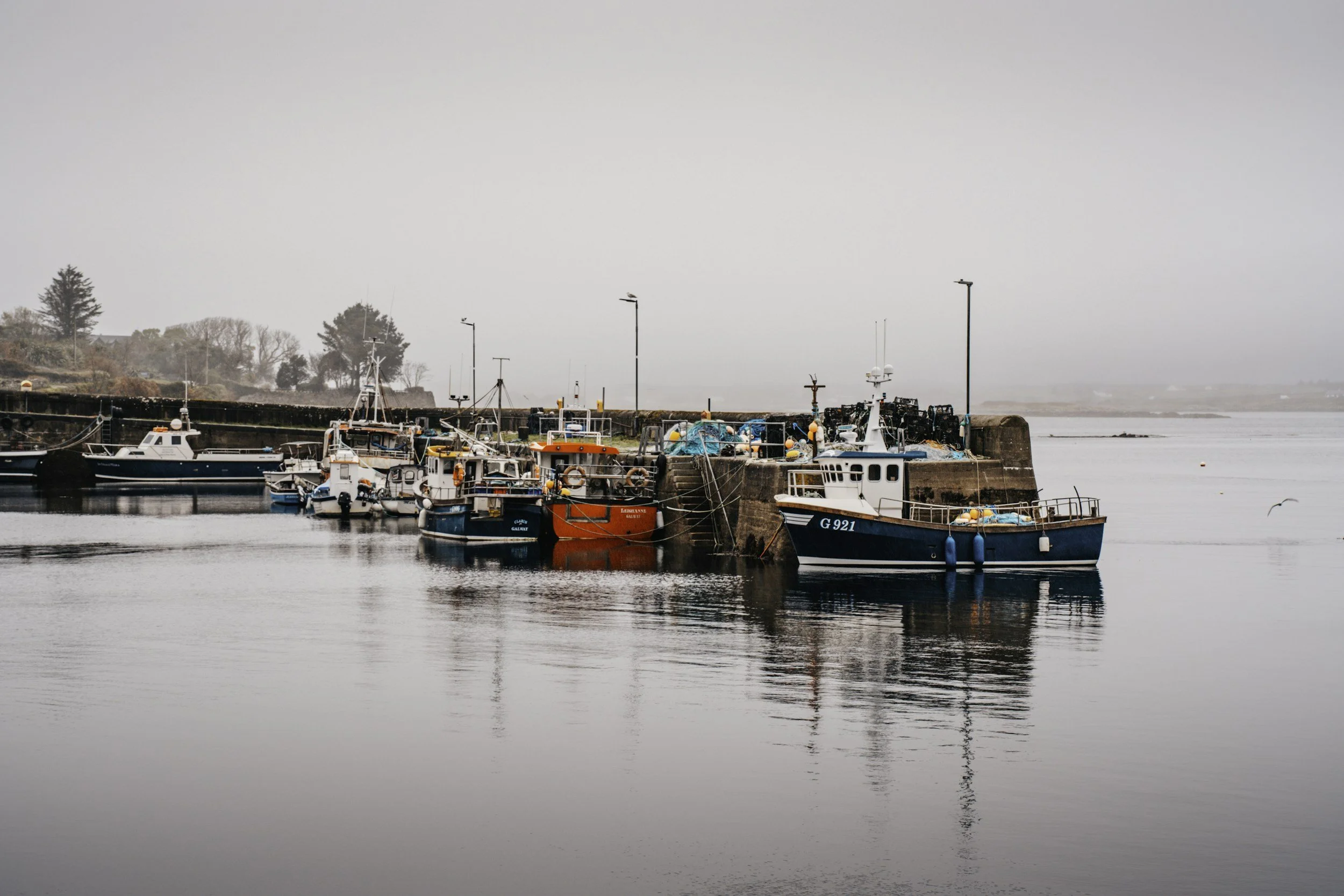 A harbor with several boats docked along the pier, surrounded by calm water, with trees and a foggy sky in the background.