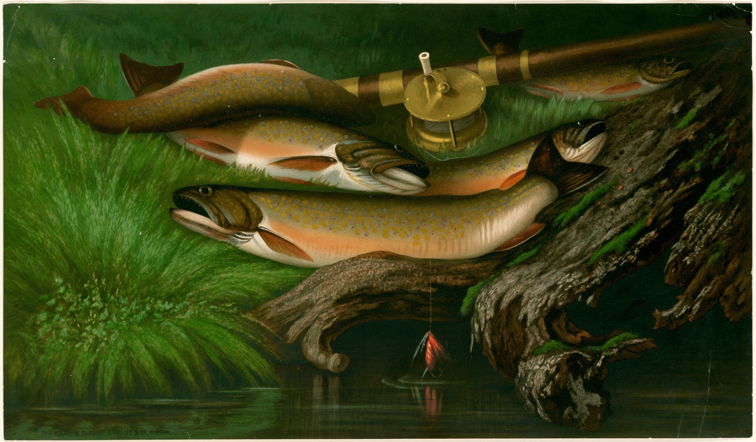 Painting of three fish on a green and brown background with a mounted gun or cannon.