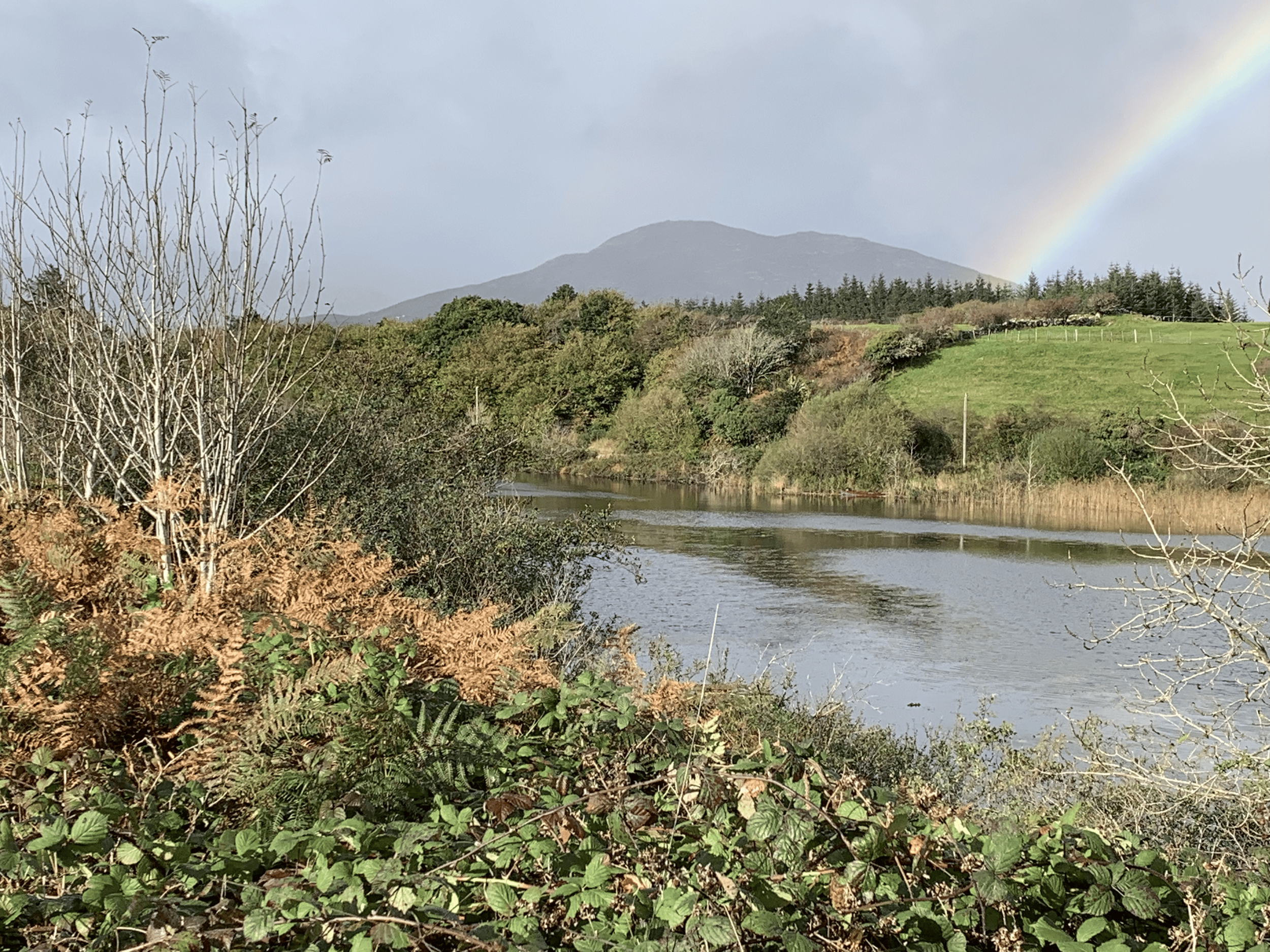 A landscape scene with a river in the foreground, green grass and bushes on the hills, trees, a mountain in the background, and a faint rainbow in the sky.