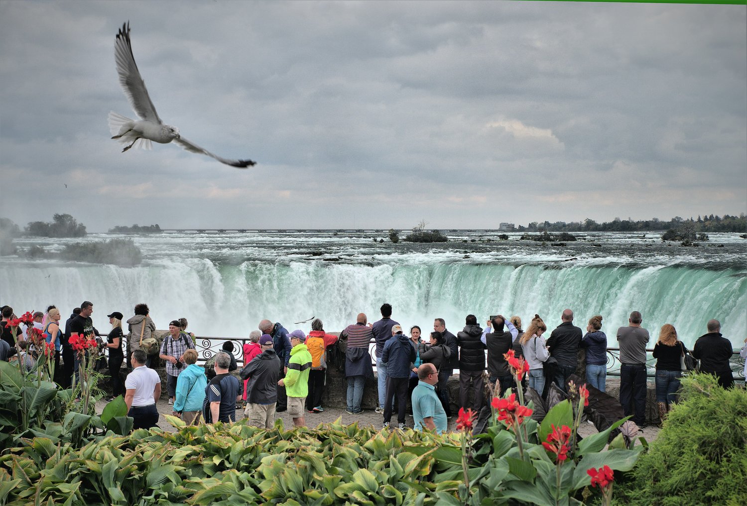 Tourist overlooking Niagara Falls