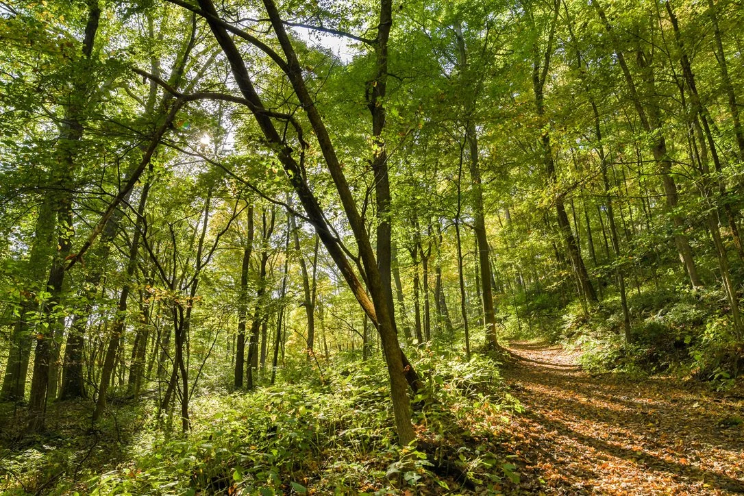 Beaver County trail