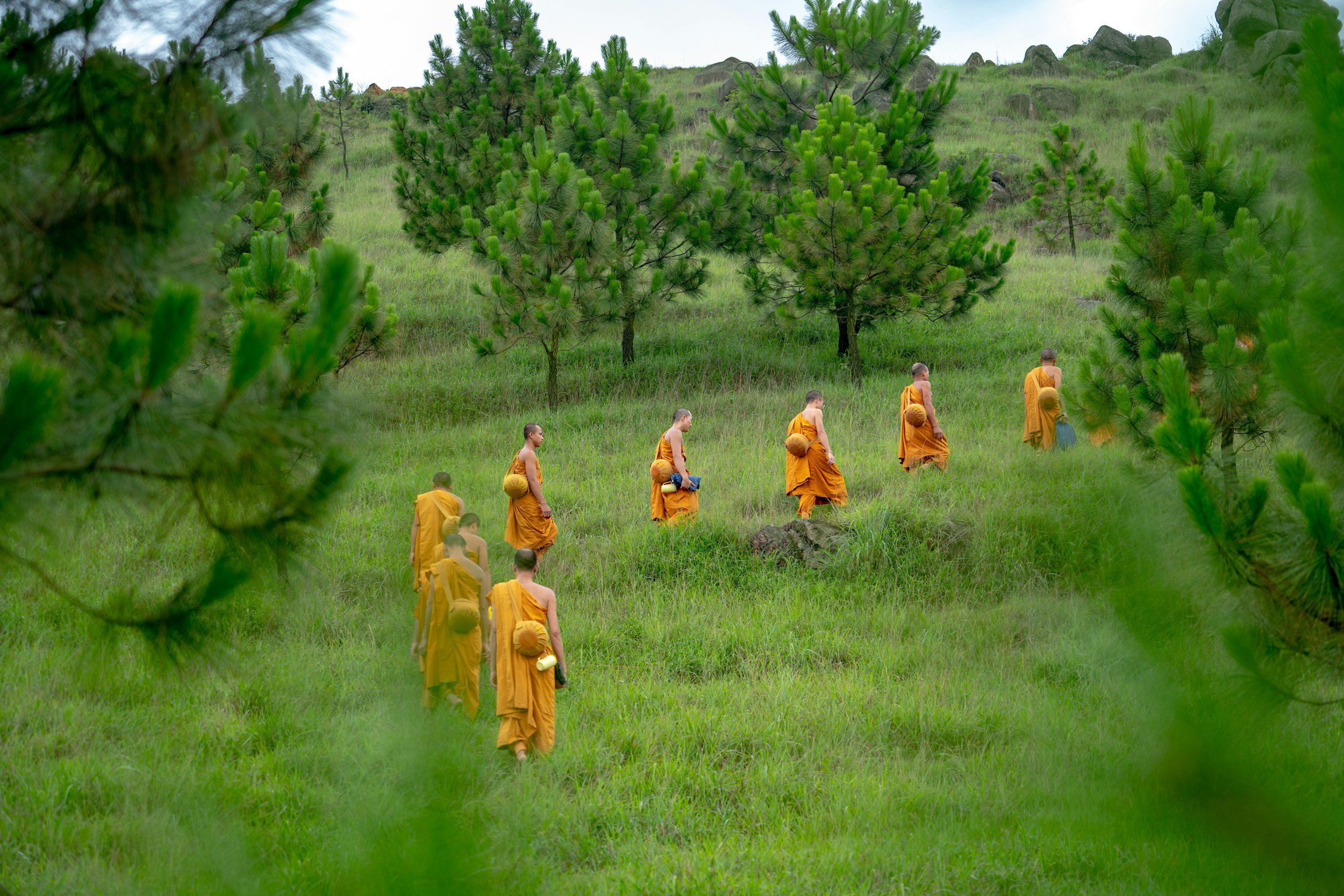 The Importance of Community: A Deep Dive into the Buddhist Sangha and Its Impact on Mental Health and Wellbeing