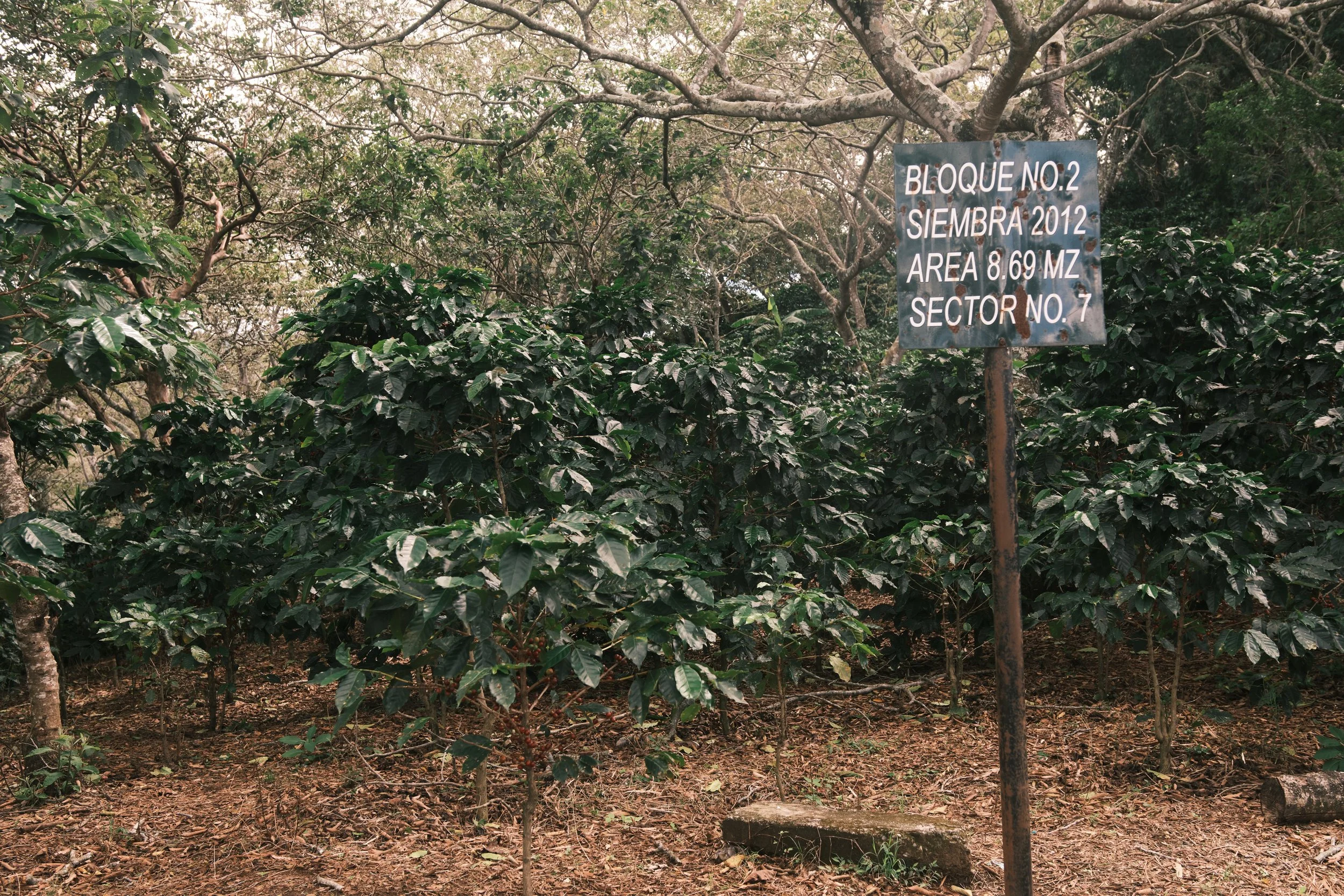 DSCF1913.jpg