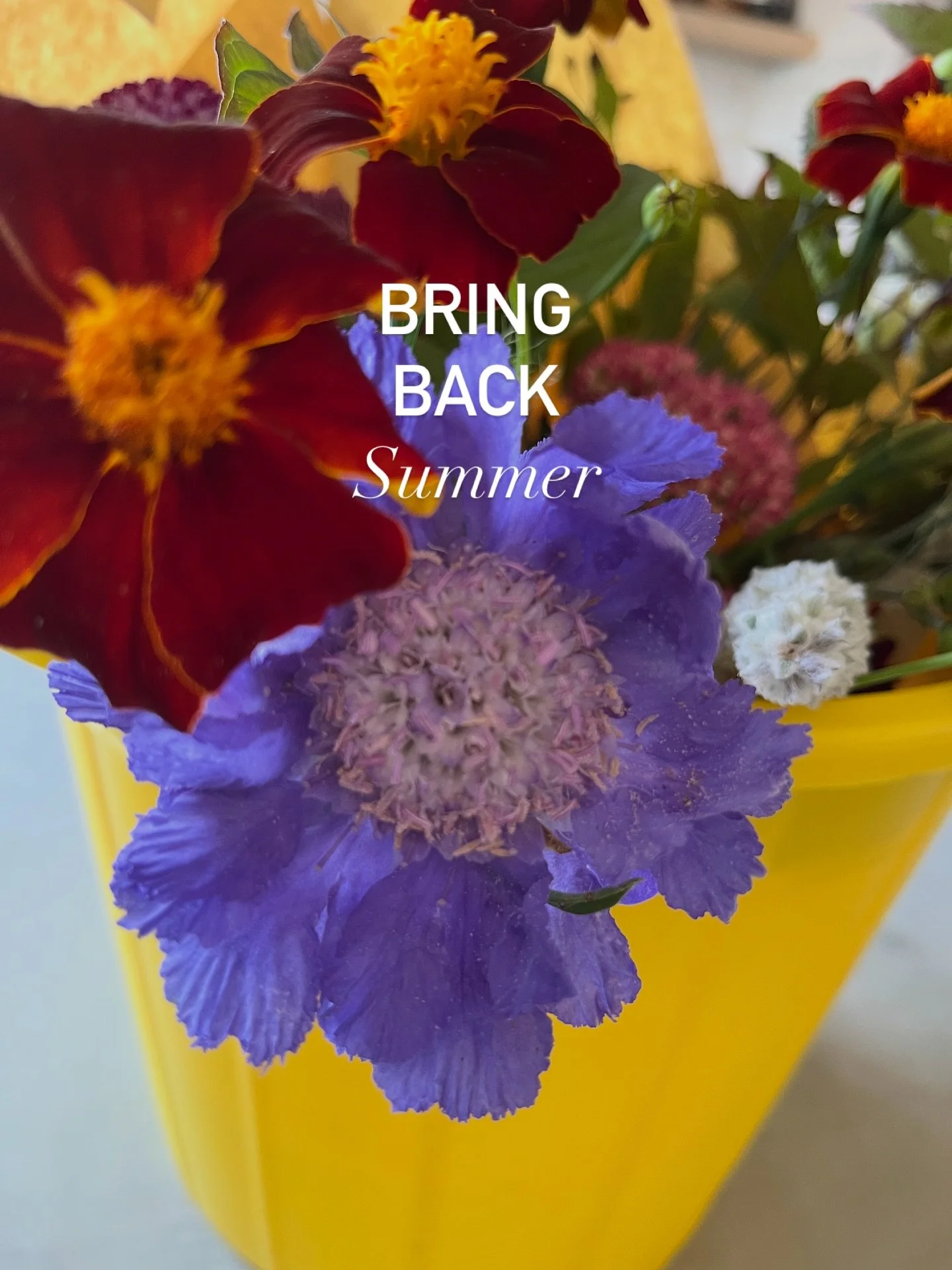 It&rsquo;s starting to get colder here in the UK and I&rsquo;m missing all the florals so I&rsquo;m bringing back summer! Who&rsquo;s with me? 😆

#summer #florals