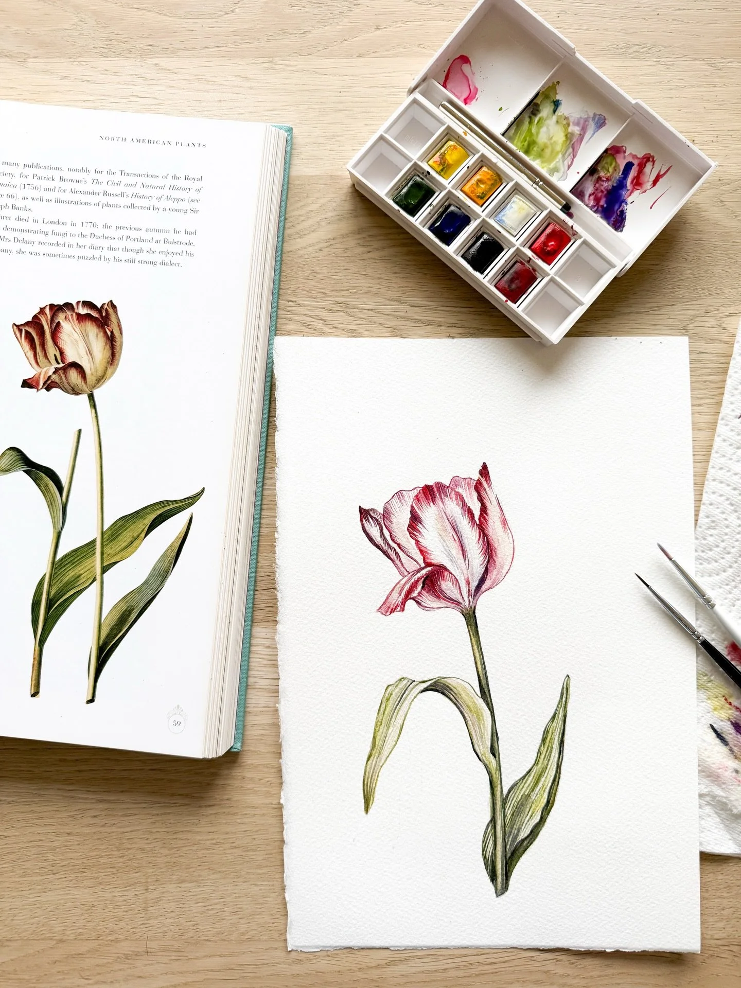 I don&rsquo;t often paint in a botanical style but when I feel like a good long painting session then this style is so fun to try as it requires a lot of concentration - lots of little strokes and building up the colour, plus paying attention to my r