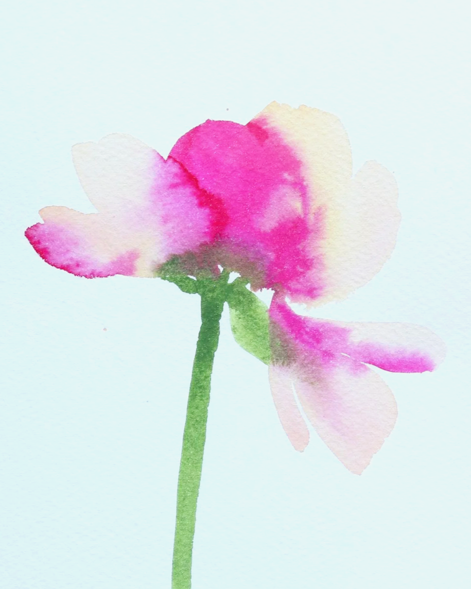 IMG_3906.png