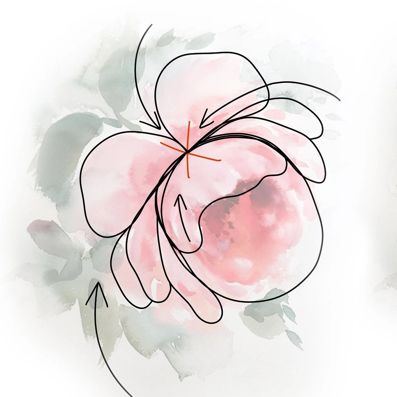 Floral Structure.jpg