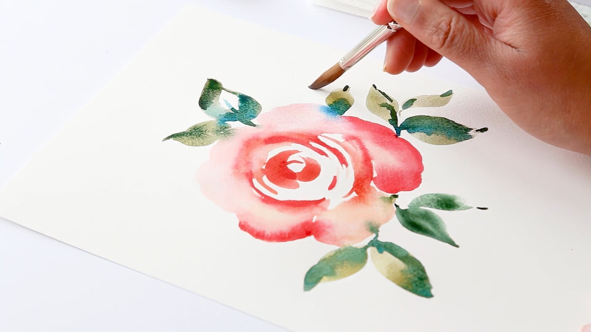 Open Rose Thumbnail 1.jpg