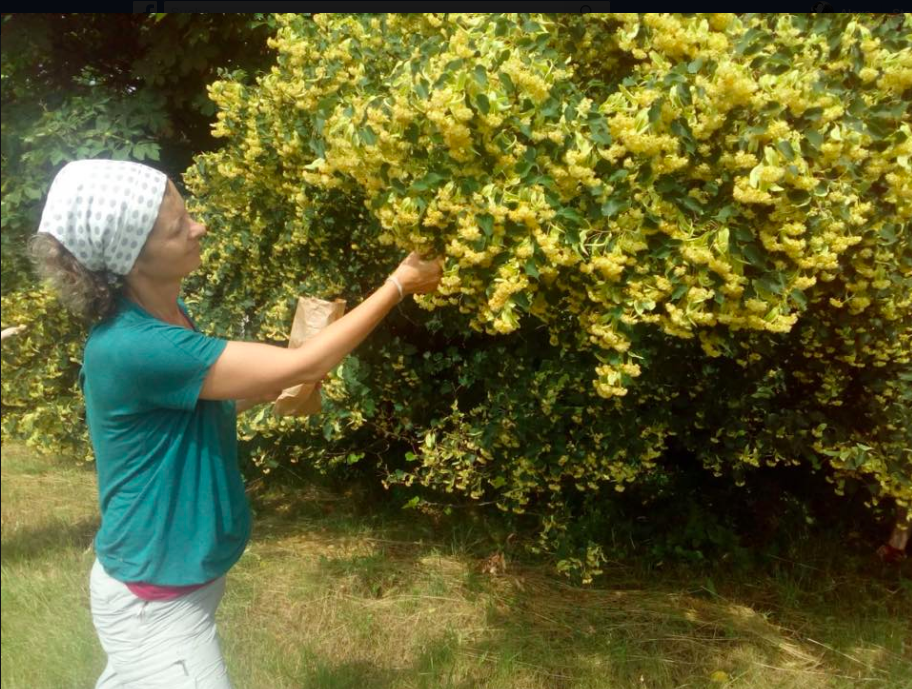 Bildschirmfoto 2018-06-09 um 12.51.17.png