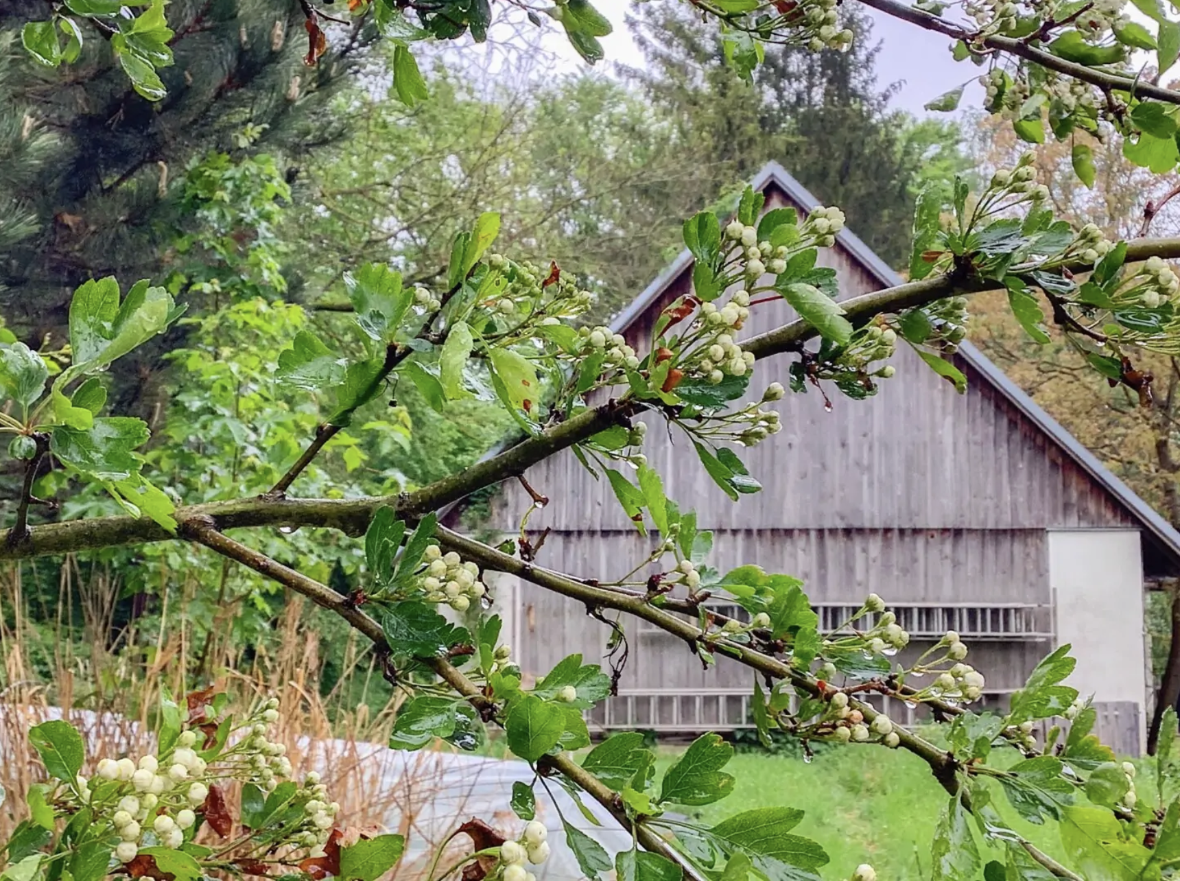 Bildschirm­foto 2023-07-25 um 22.13.44.png