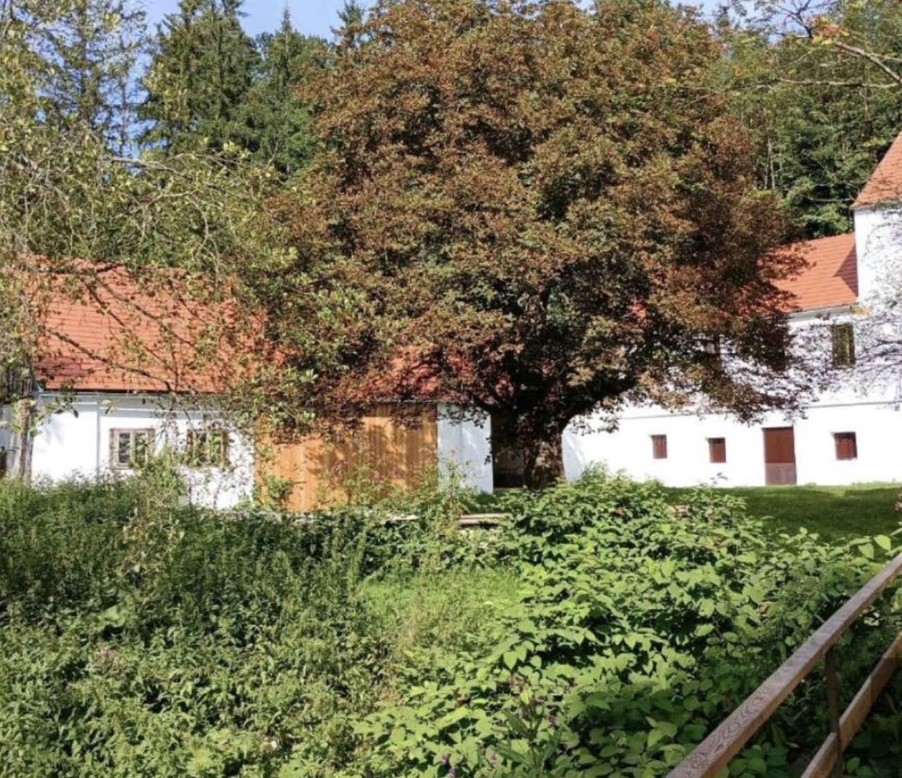 RETREAT Juli 2025 / STILLNESS Mastery / Schwerpunkt “Gesund altern & Longevity”