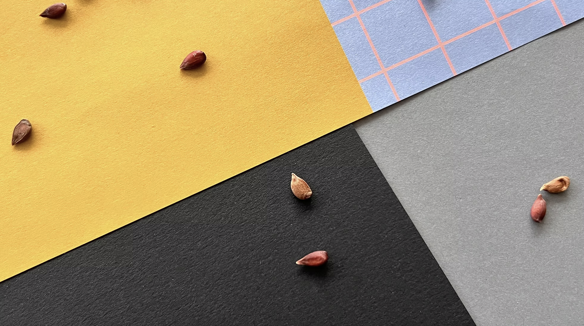 KERNGESCHEHEN Marken Check am Mittwoch - online