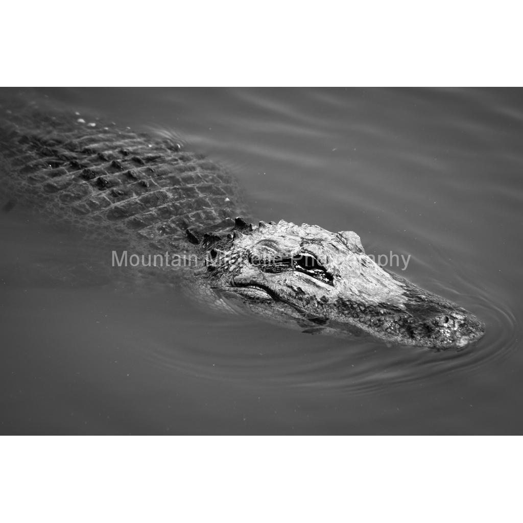 image_original_731a5c5f601d11ffb5c856ca918f5642.png