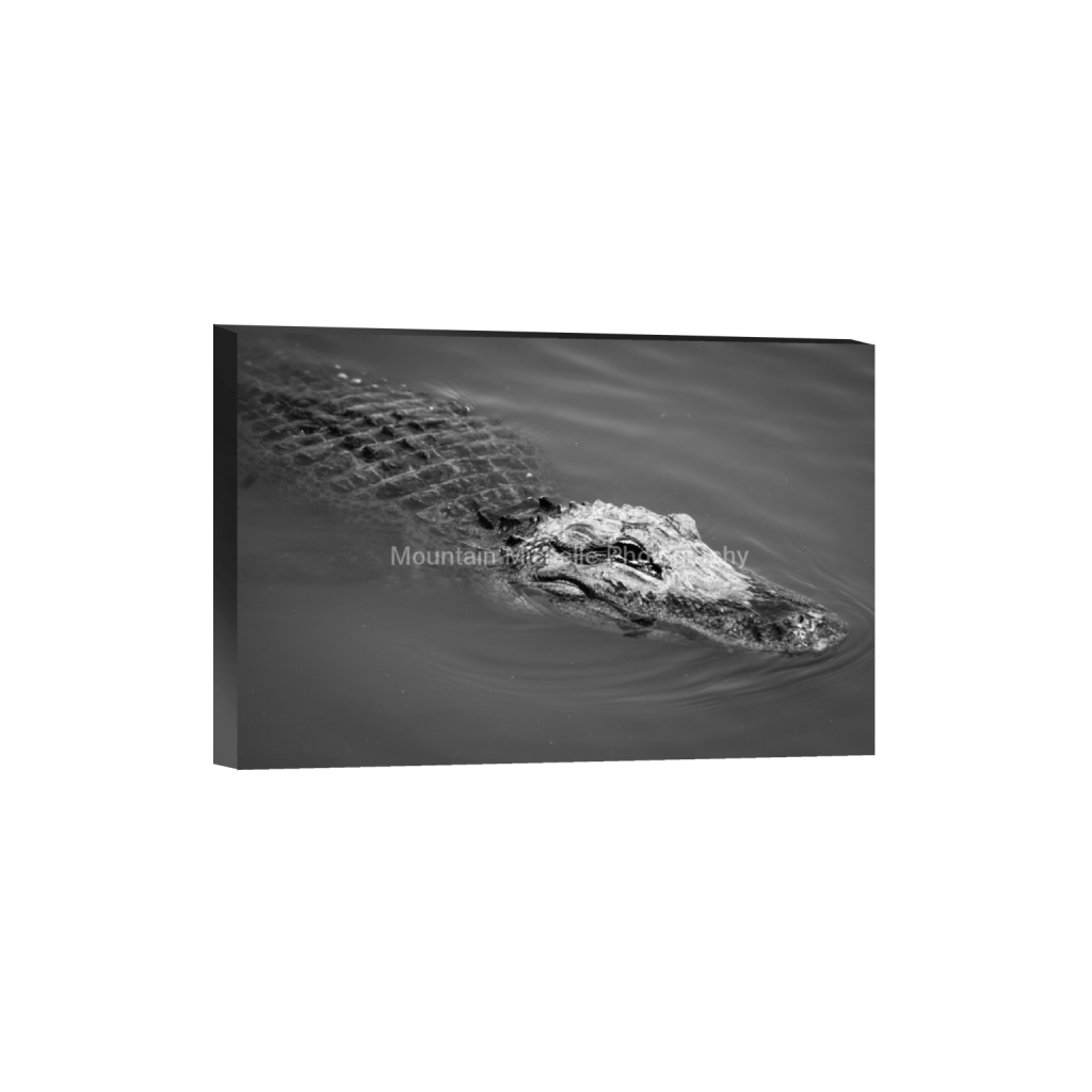 ptq_32_3_0_0_4272_2848_0_false_ffffff_0_0_731a5c5f601d11ffb5c856ca918f5642.png