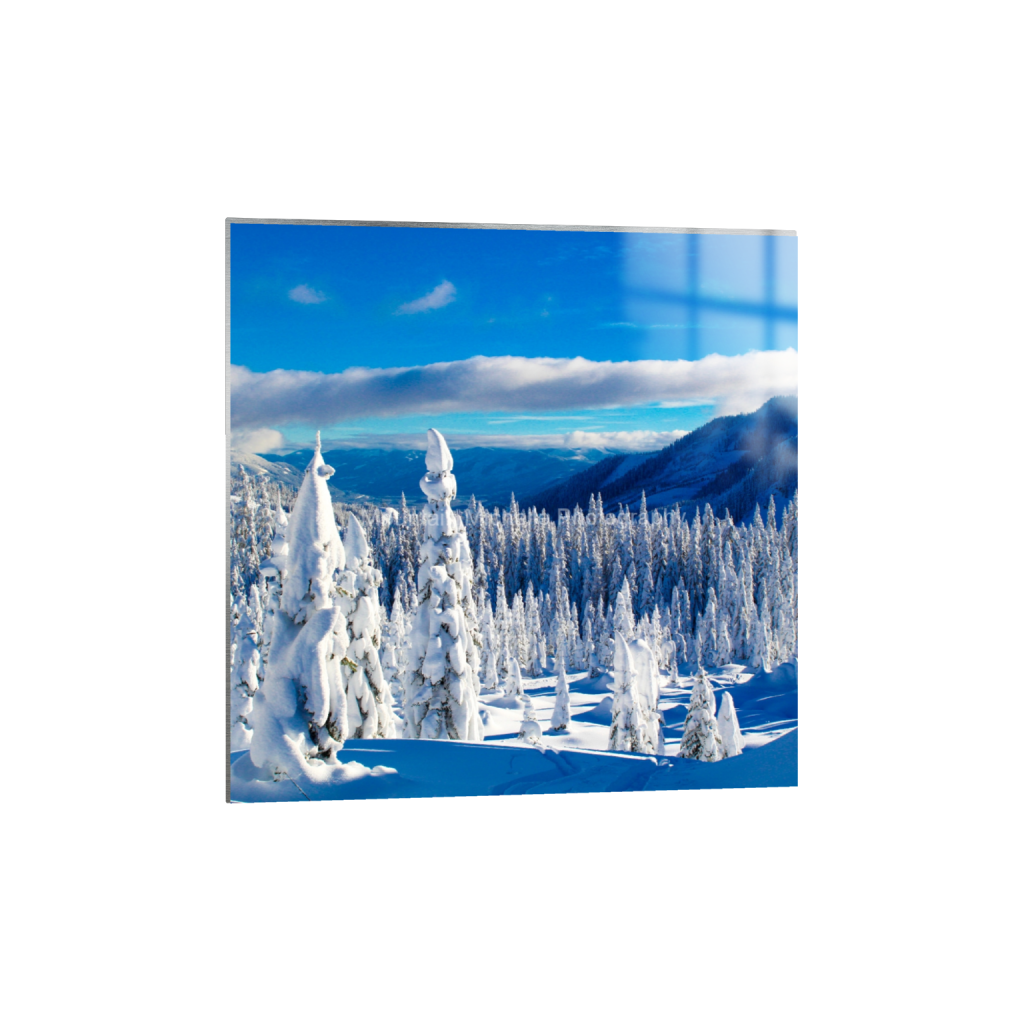 ptq_13_0_864_0_3456_3456_0_false_ffffff_0_0_731a5c5f601d11ffb5c856ca918f5642.png