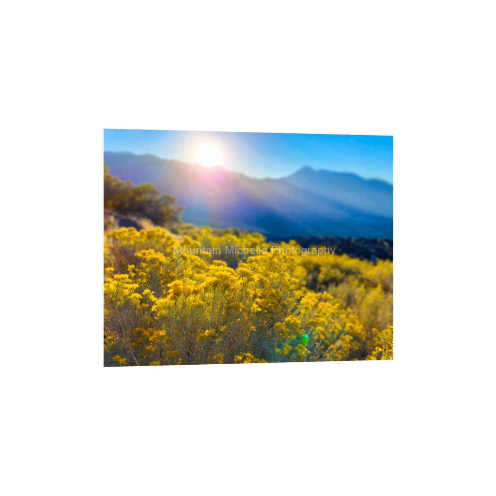 ptq_1_6_832_0_2335_1868_0_false_ffffff_0_0_731a5c5f601d11ffb5c856ca918f5642.png