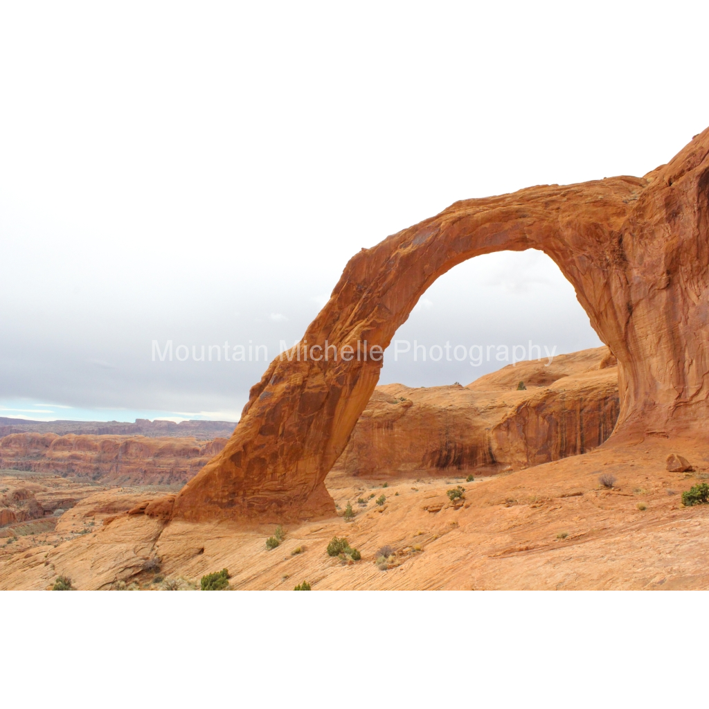 image_original_731a5c5f601d11ffb5c856ca918f5642.png