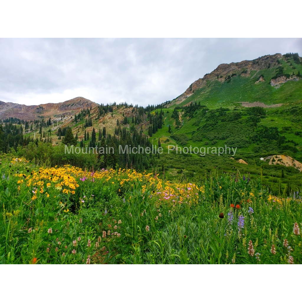 image_original_731a5c5f601d11ffb5c856ca918f5642.png