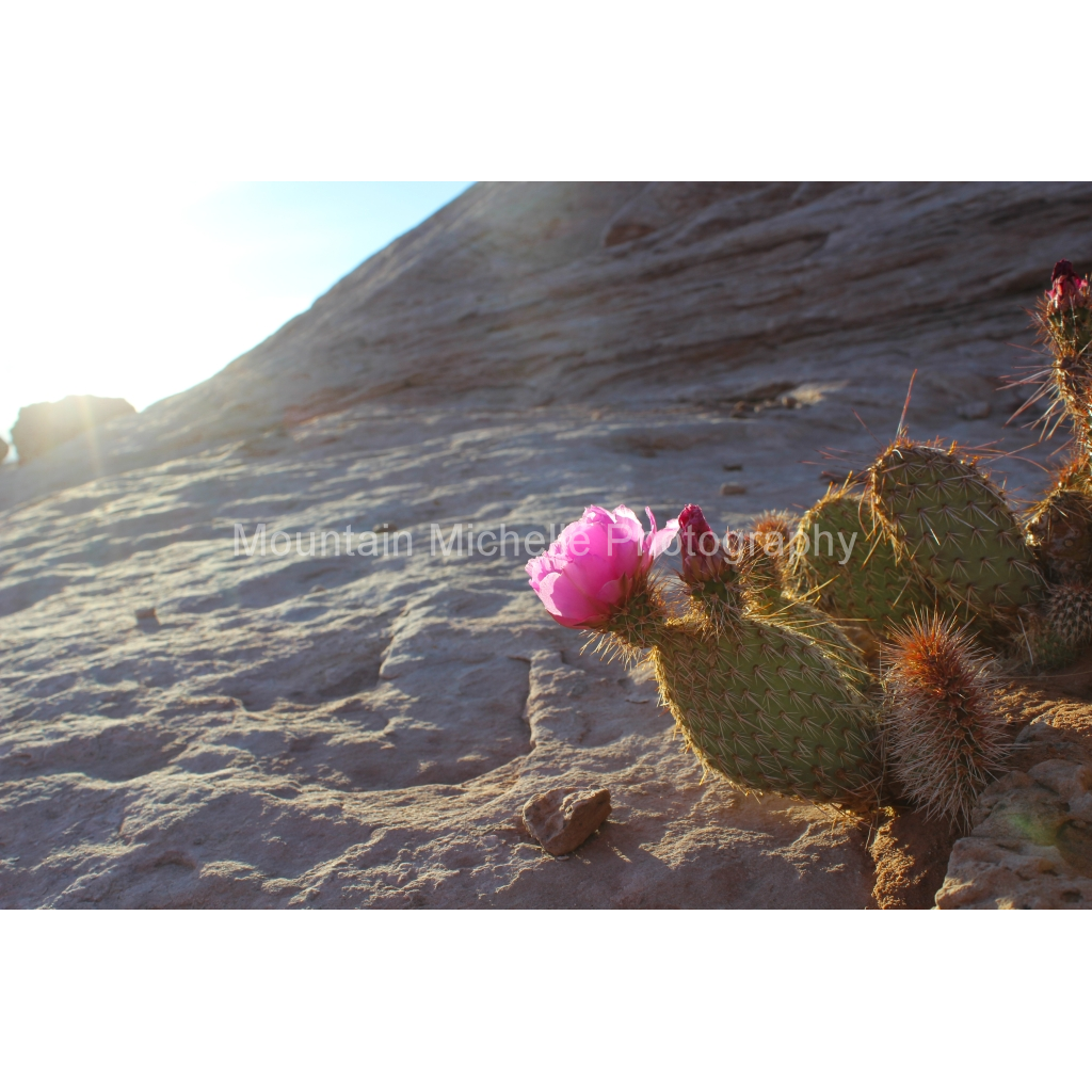 image_original_731a5c5f601d11ffb5c856ca918f5642.png