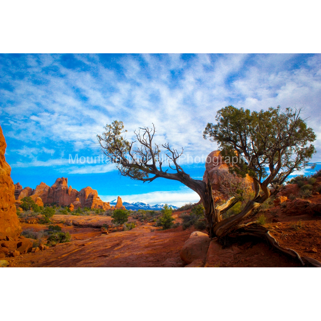 image_original_731a5c5f601d11ffb5c856ca918f5642.png