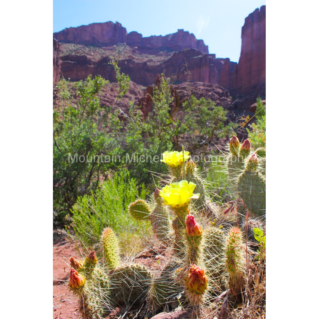 image_original_731a5c5f601d11ffb5c856ca918f5642.png