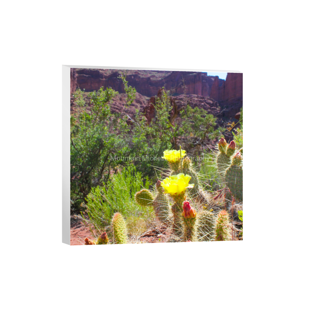 ptq_7_0_0_864_3456_3456_0_false_ffffff_0_0_731a5c5f601d11ffb5c856ca918f5642.png