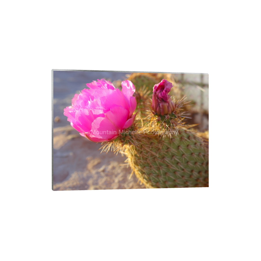 ptq_13_5_0_0_4608_3456_0_false_ffffff_0_0_731a5c5f601d11ffb5c856ca918f5642.png