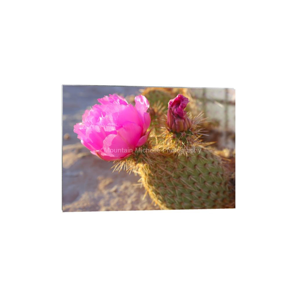 ptq_13_7_0_0_4838_3456_0_false_ffffff_0_0_731a5c5f601d11ffb5c856ca918f5642.png