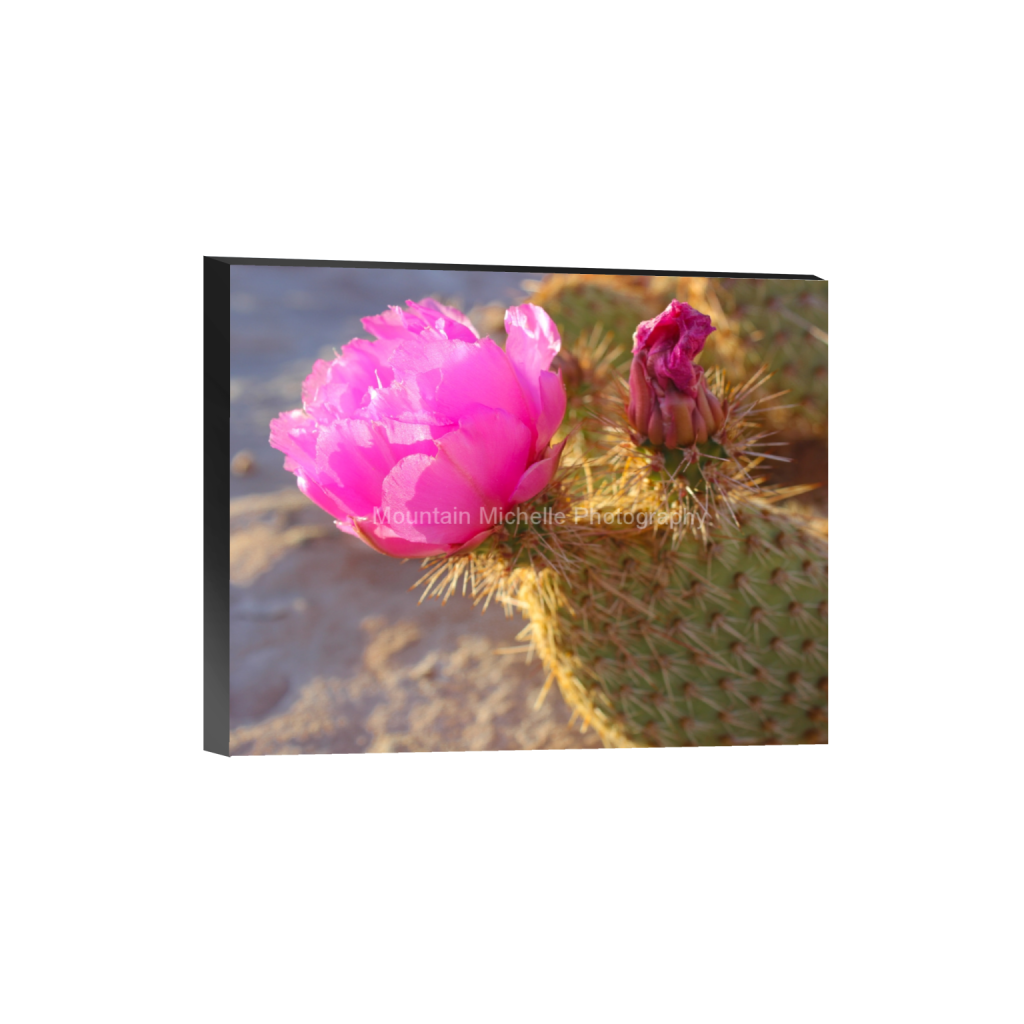 ptq_32_6_17_0_4320_3456_0_false_ffffff_0_0_731a5c5f601d11ffb5c856ca918f5642.png