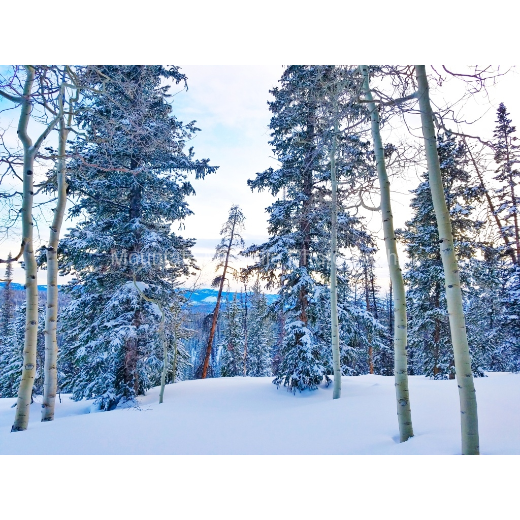 image_original_731a5c5f601d11ffb5c856ca918f5642.png
