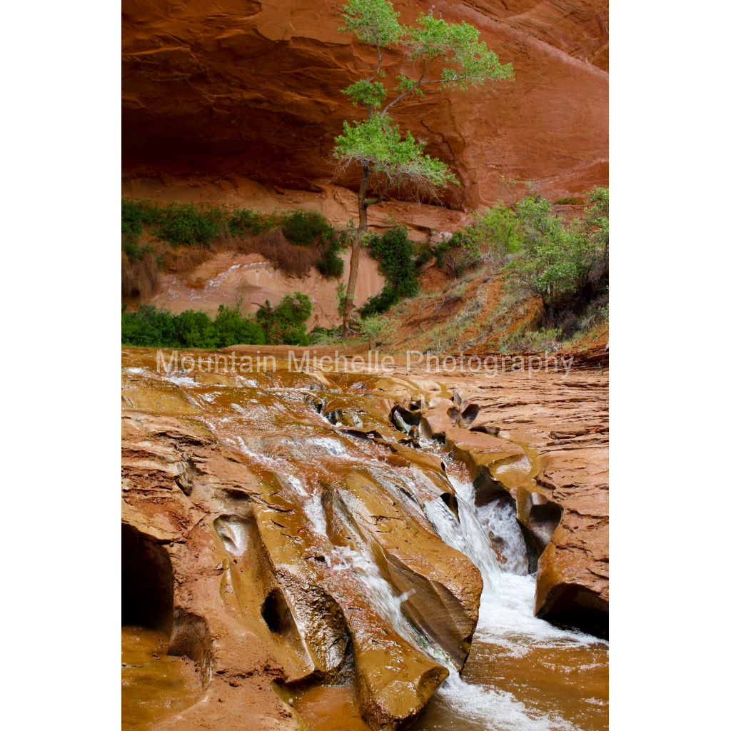 image_original_731a5c5f601d11ffb5c856ca918f5642.png