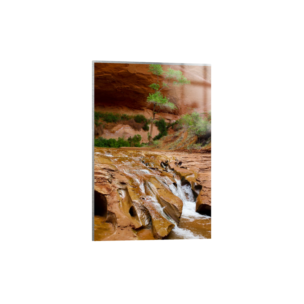 ptq_13_3_0_0_3456_5184_0_false_ffffff_0_0_731a5c5f601d11ffb5c856ca918f5642.png