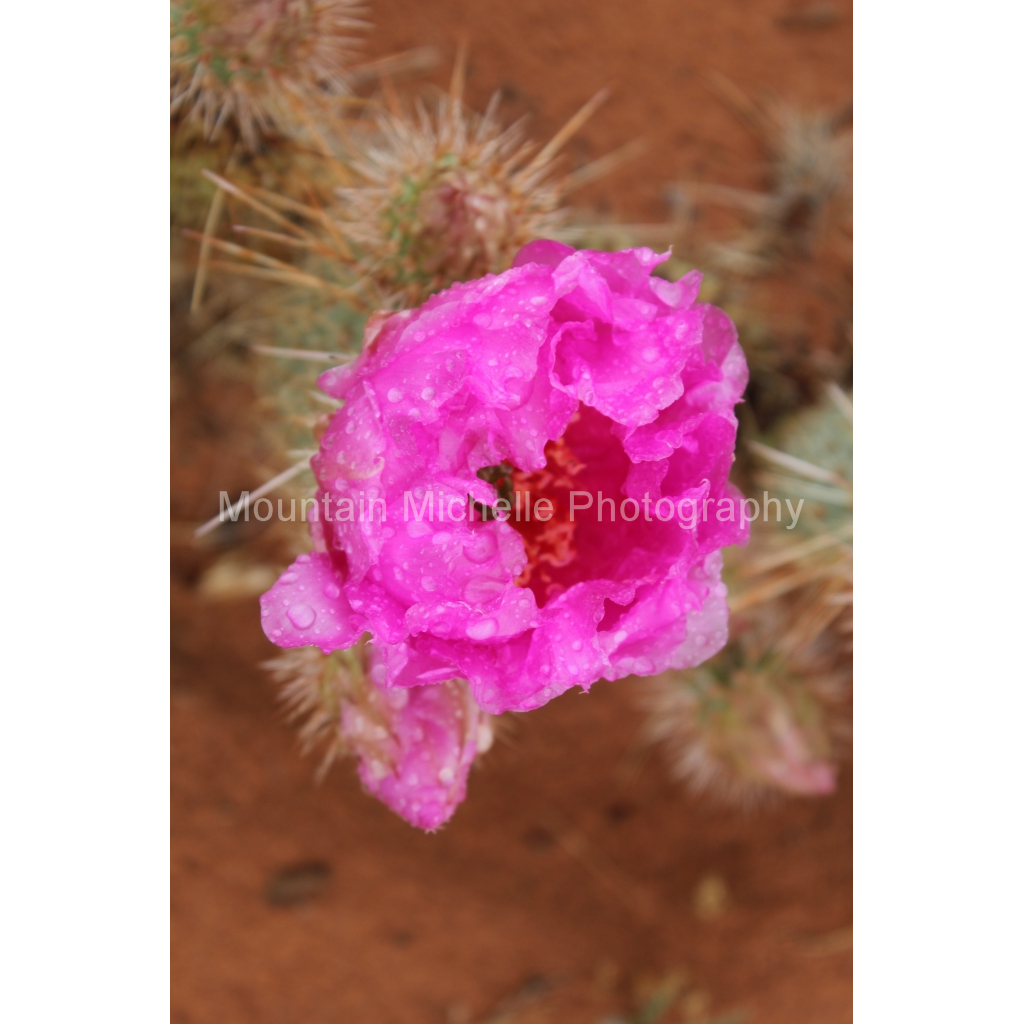 image_original_731a5c5f601d11ffb5c856ca918f5642.png