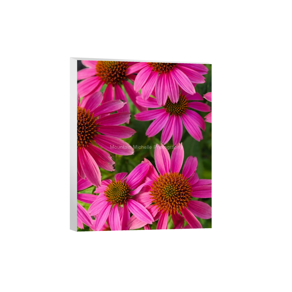 ptq_7_6_0_455_1868_2335_0_false_ffffff_0_0_731a5c5f601d11ffb5c856ca918f5642.png