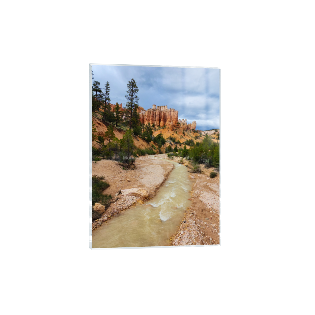ptq_17_7_0_0_8571_12000_0_false_ffffff_0_0_731a5c5f601d11ffb5c856ca918f5642.png