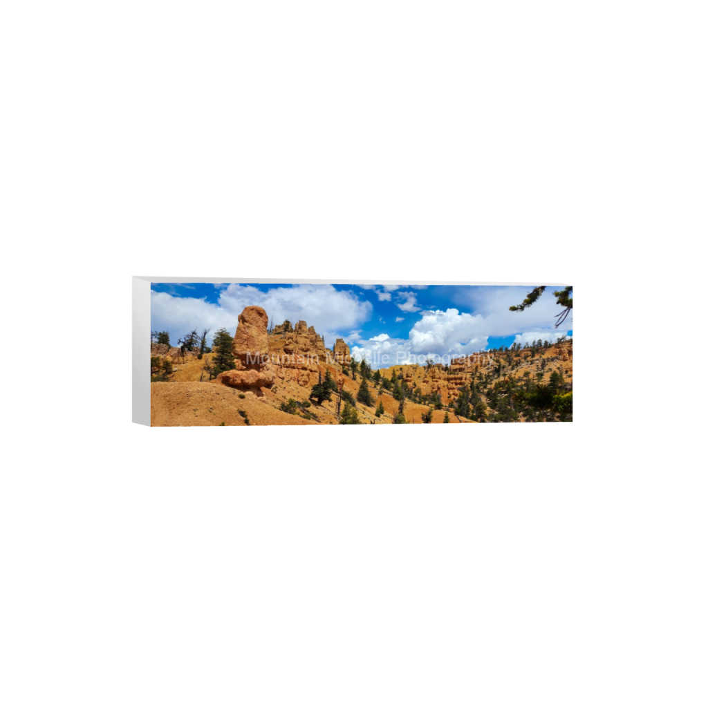 ptq_7_2_0_13_4000_1333_0_false_ffffff_0_0_731a5c5f601d11ffb5c856ca918f5642.png