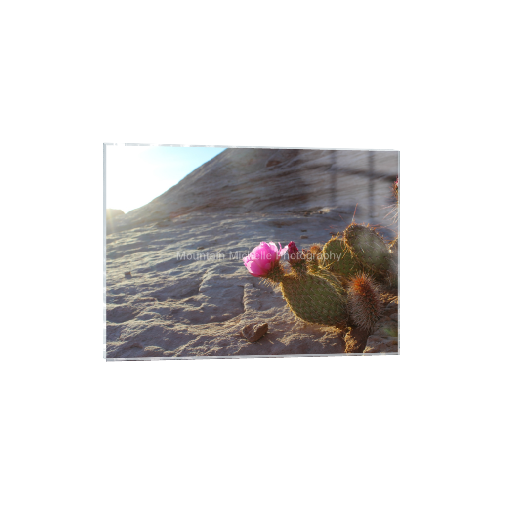 ptq_17_7_362_0_4838_3456_0_false_ffffff_0_0_731a5c5f601d11ffb5c856ca918f5642.png