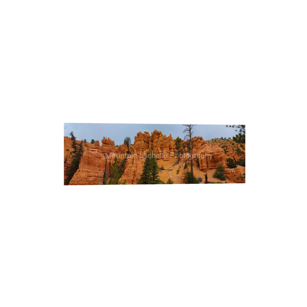 ptq_1_2_0_2320_12000_4000_0_false_ffffff_0_0_731a5c5f601d11ffb5c856ca918f5642.png