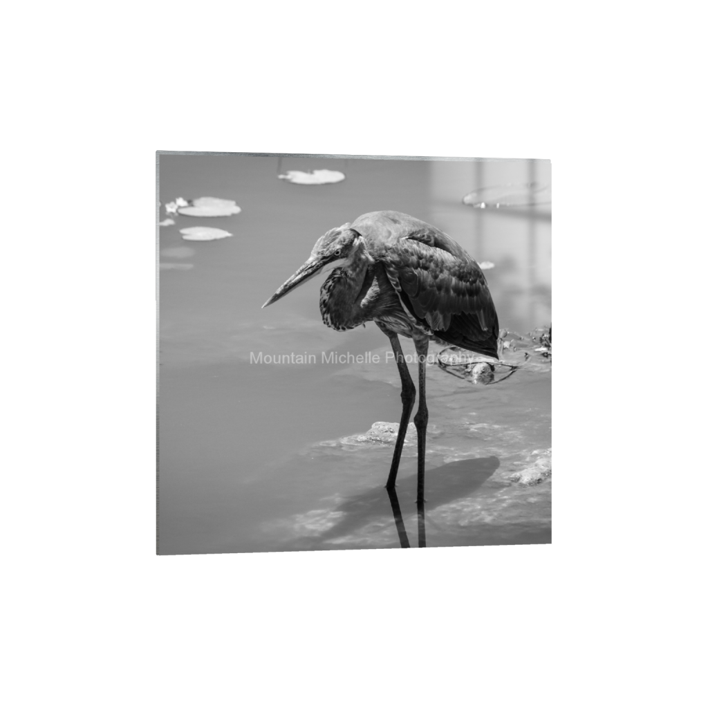 ptq_13_0_683_0_2848_2848_0_false_ffffff_0_0_731a5c5f601d11ffb5c856ca918f5642.png
