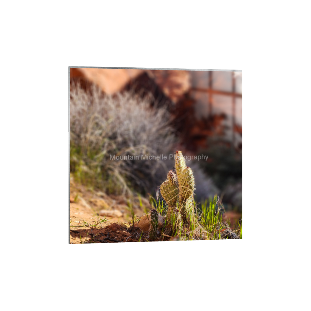 ptq_13_0_0_803_1868_1868_0_false_ffffff_0_0_731a5c5f601d11ffb5c856ca918f5642.png