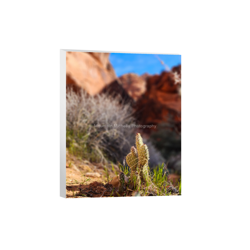 ptq_7_6_0_385_1868_2335_0_false_ffffff_0_0_731a5c5f601d11ffb5c856ca918f5642.png