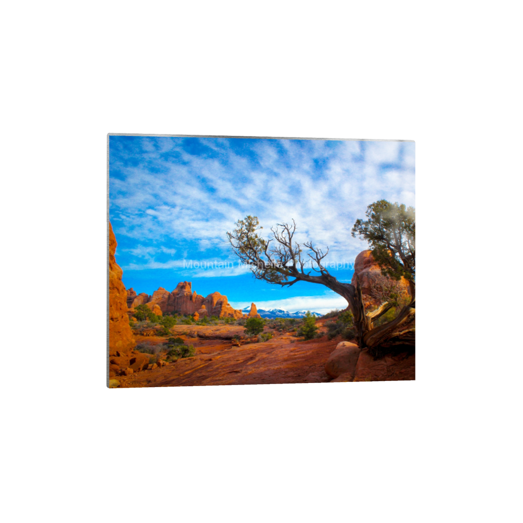 ptq_13_6_0_0_4320_3456_0_false_ffffff_0_0_731a5c5f601d11ffb5c856ca918f5642.png