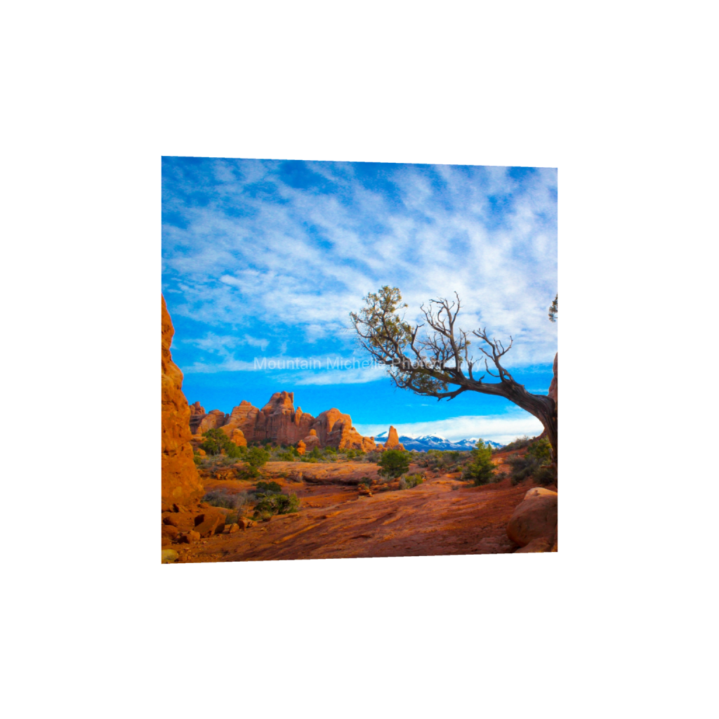 ptq_1_0_0_0_3456_3456_0_false_ffffff_0_0_731a5c5f601d11ffb5c856ca918f5642.png