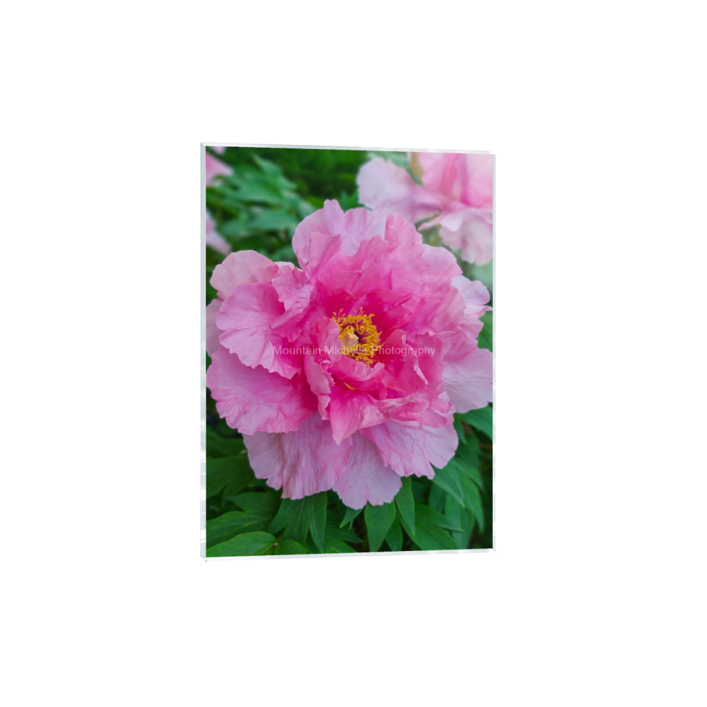 ptq_17_7_160_0_2857_4000_0_false_ffffff_0_0_731a5c5f601d11ffb5c856ca918f5642.png