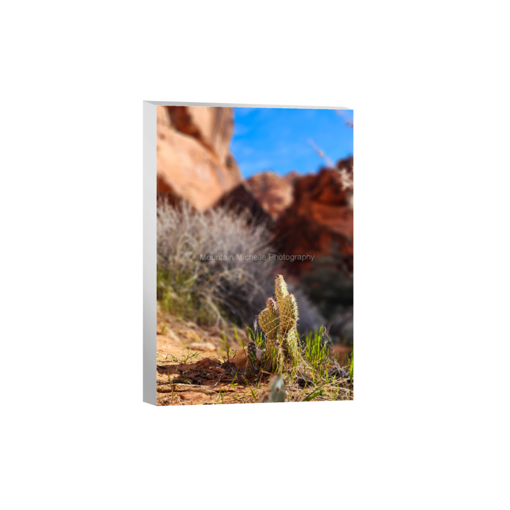 ptq_7_3_0_98_1868_2802_0_false_ffffff_0_0_731a5c5f601d11ffb5c856ca918f5642.png