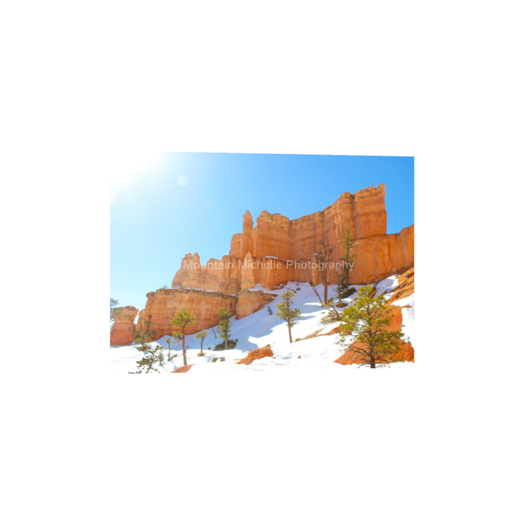 ptq_1_7_155_0_4838_3456_0_false_ffffff_0_0_731a5c5f601d11ffb5c856ca918f5642.png
